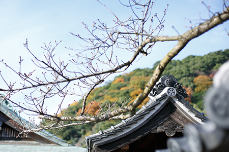 北野天満神社